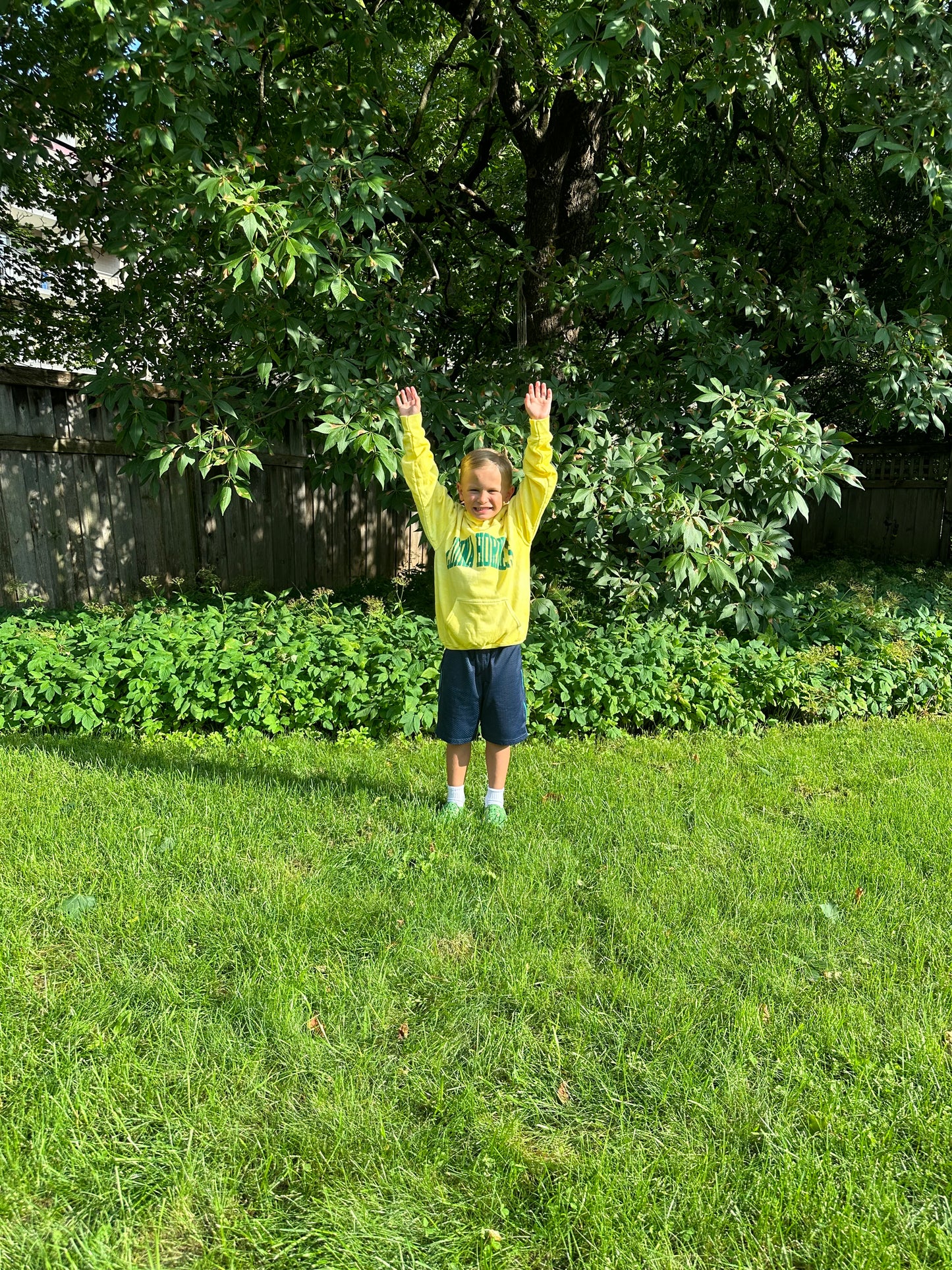 Youth Yellow Hoody Edina Hornets
