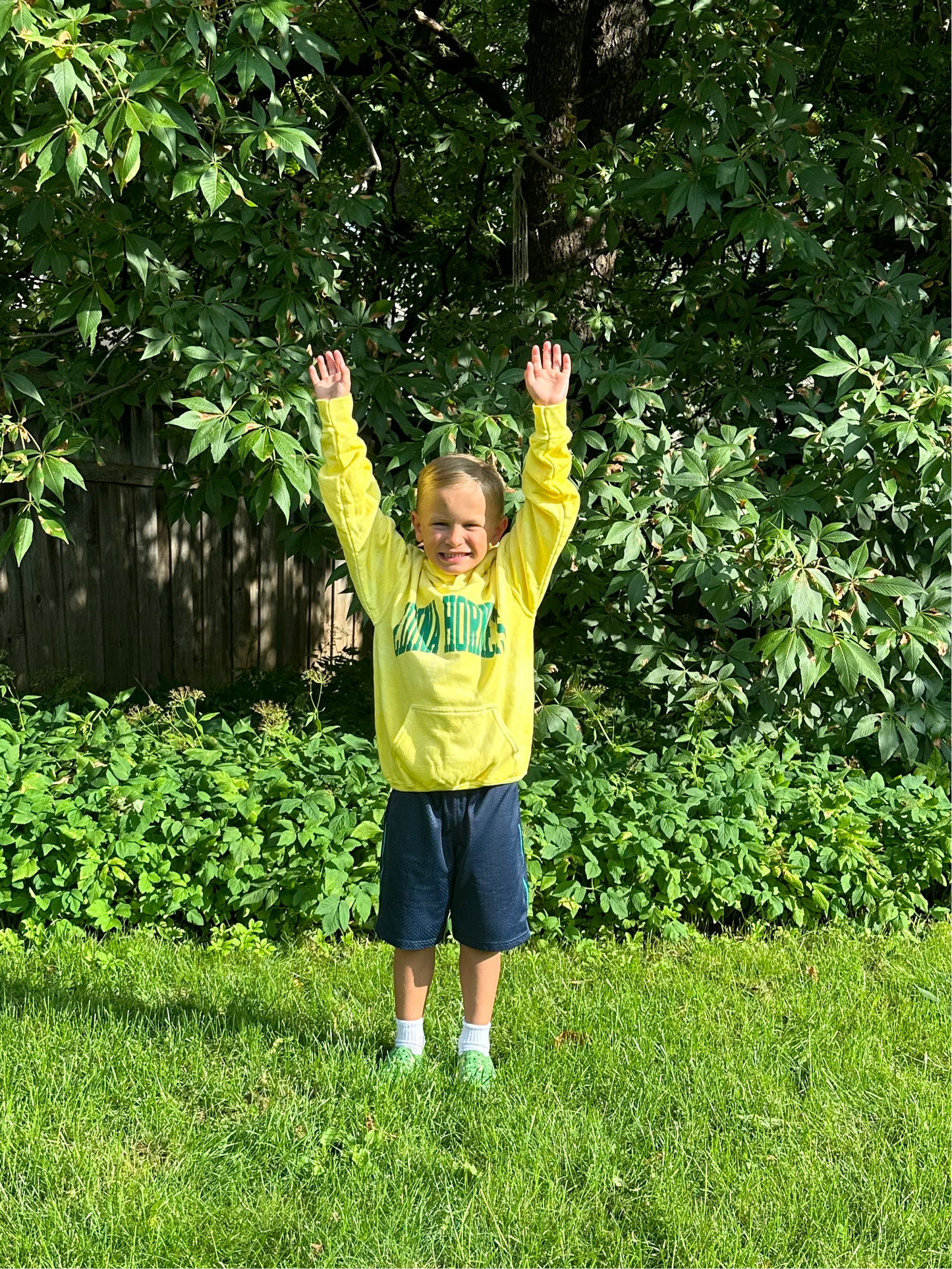 Youth Yellow Hoody Edina Hornets